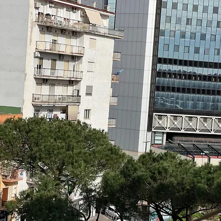 Bruno House לינה וארוחת בוקר 4*